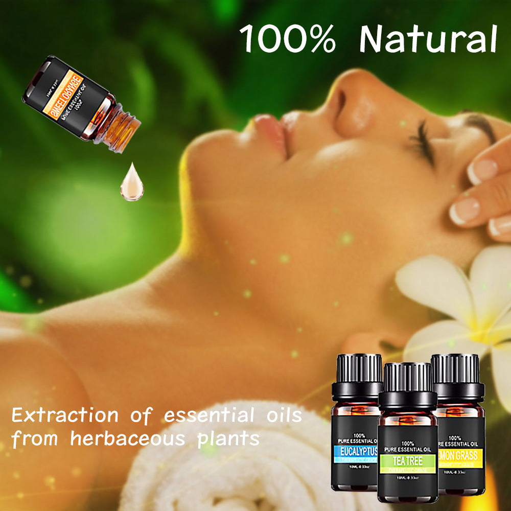 6-Piece Aromatherapy Essential Oils Set